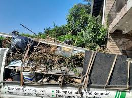 Best Electronics and E-Waste Disposal  in Lamar, TX
